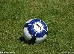 开云平台官,方网品牌大,使皮耶罗,开云体育,开云体育官网,开云体育app,开云体育平台,KAIYUN,SPORTS,kaiyun登录入口