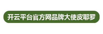 开云平台官方网品牌大使皮耶罗