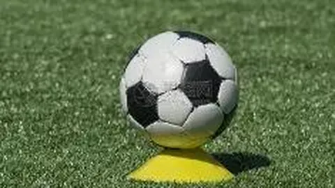 今夏德国足协转会窗口调整信息发布