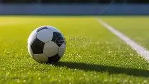 开云平台官方网品牌大使皮耶罗 资讯 115430 qf2