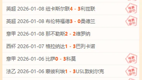 开云平台官方网品牌大使皮耶罗 产品 095718 qmn