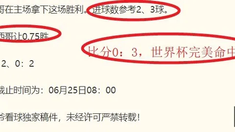 开云平台官方网品，开云品牌大使，牌大使皮耶罗 110433 2